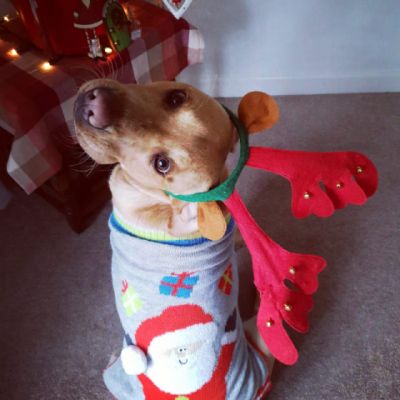 Christmas Jumper Day 2020