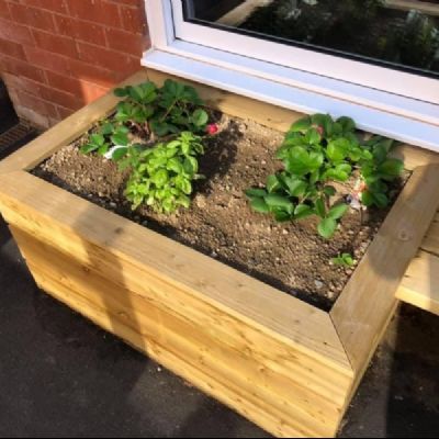 Our new kitchen Garden